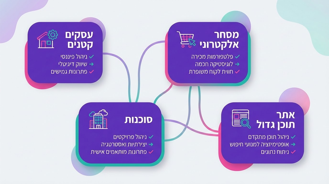 אינפוגרפיקה המציגה למי מתאימה מערכת ניהול קידום אתרים לפי סוג עסק